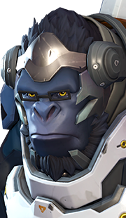Winston Winston