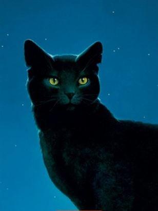 Nightstar Nightstar