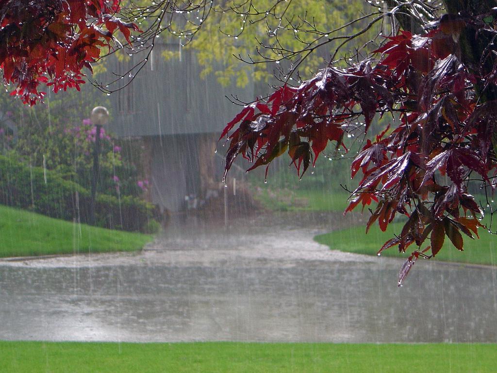 Rainy Rainy