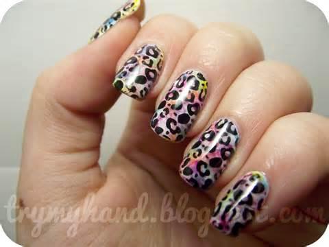 Leopard Leopard
