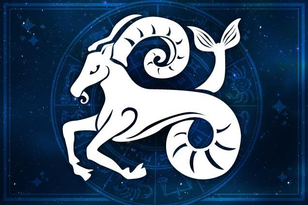 Capricorn Capricorn