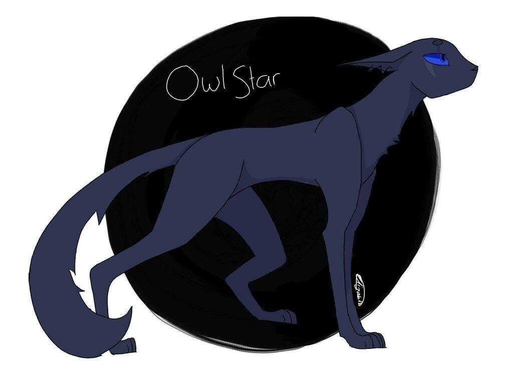 Owlstar