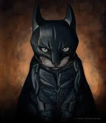 Batcat