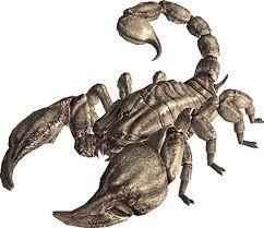 radscorpion radscorpion