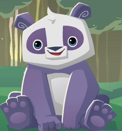 Panda Panda