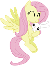 fluttershy and Angel?