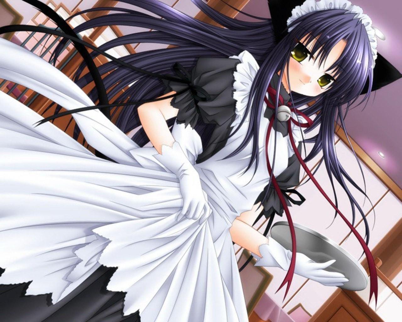first(my admin) first(my admin)