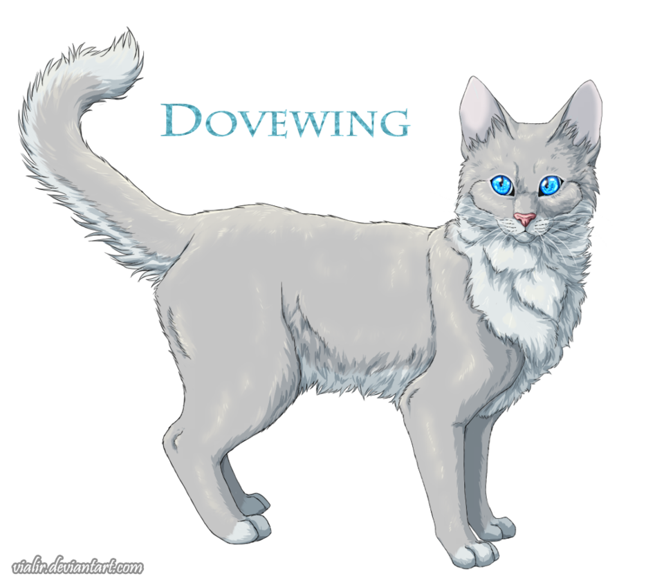 Dovewing