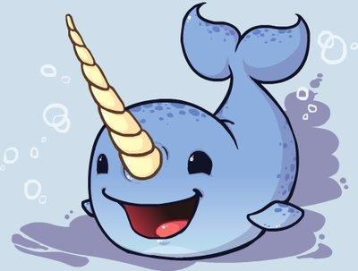 Narwals