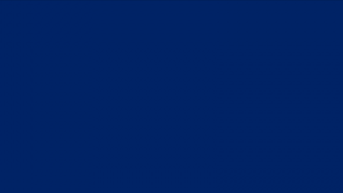 Navy Blue Navy Blue