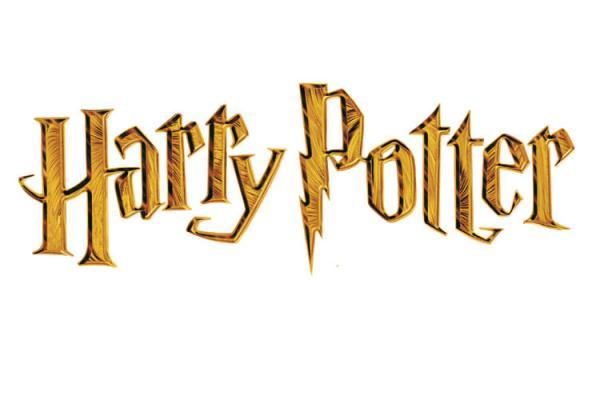 Harry Potter Harry Potter
