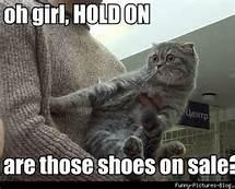 Shoe-sale Cat