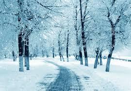 Winter Winter