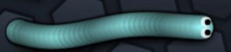 skin 23 skin 23