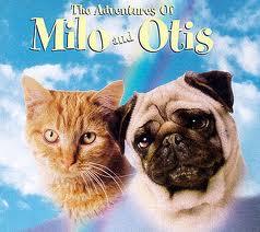 Milo and Otis