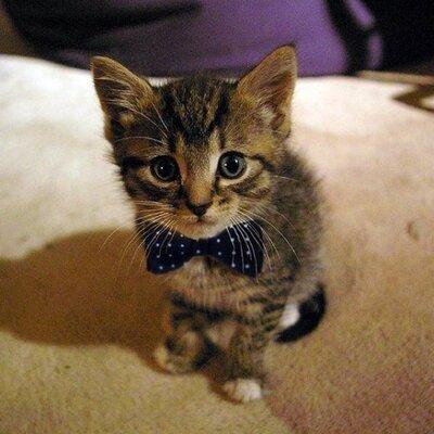 This one This one