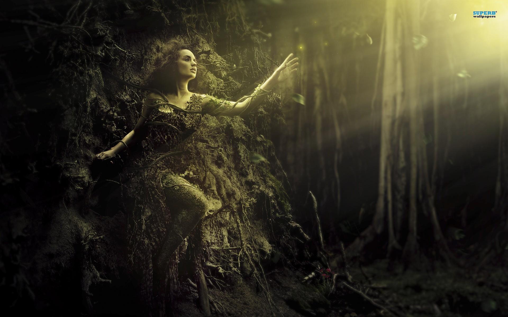 tree girl tree girl