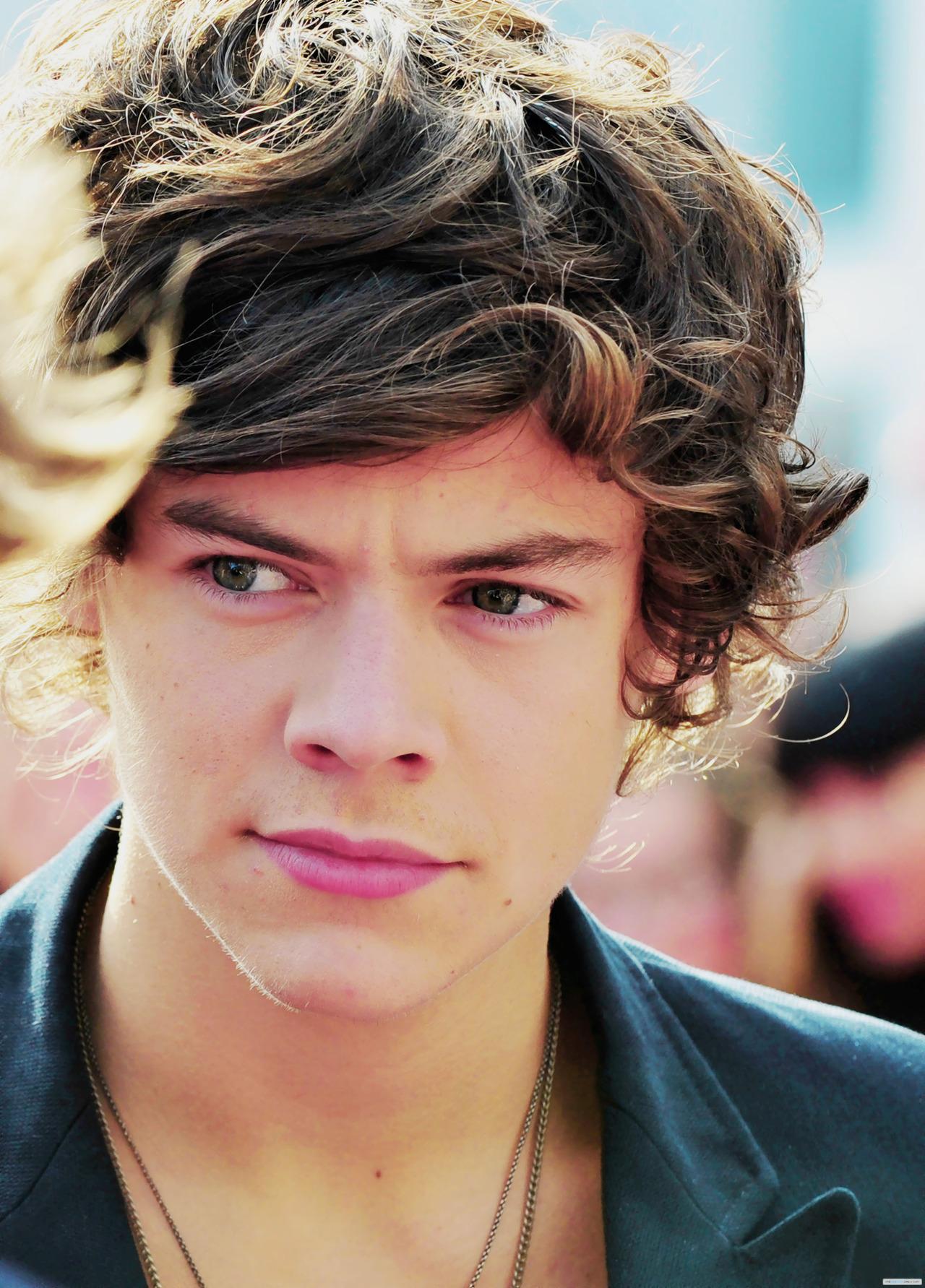Harry Styles Harry Styles