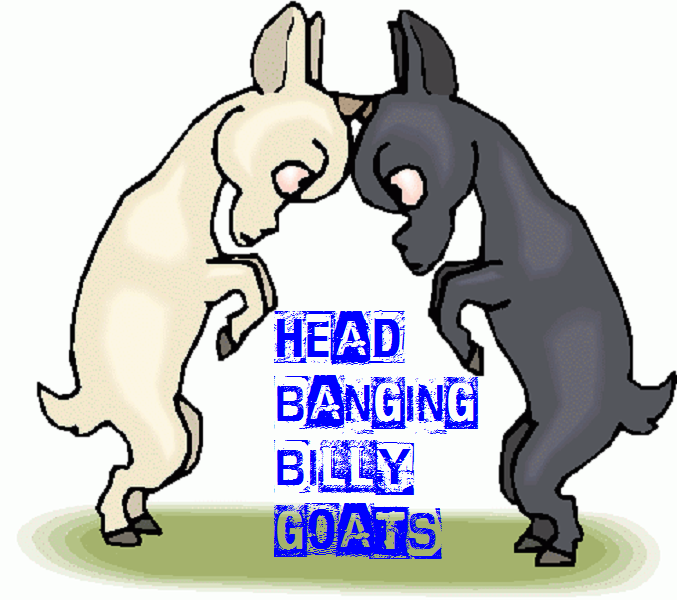 Head Bangin Billy Goats