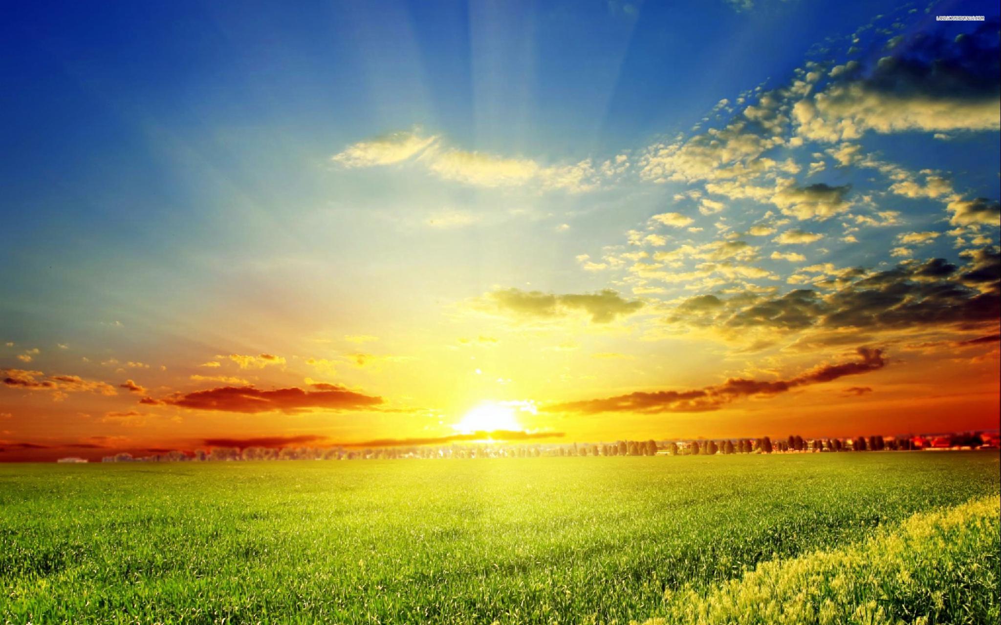 Waking up with a big sun at 8h00 AM, gets overcast by 12h00 PM and starts to rain at 2h00 PM for the rest of the evening Waking up with a big sun at 8h00 AM, gets overcast by 12h00 PM and starts to rain at 2h00 PM for the rest of the evening
