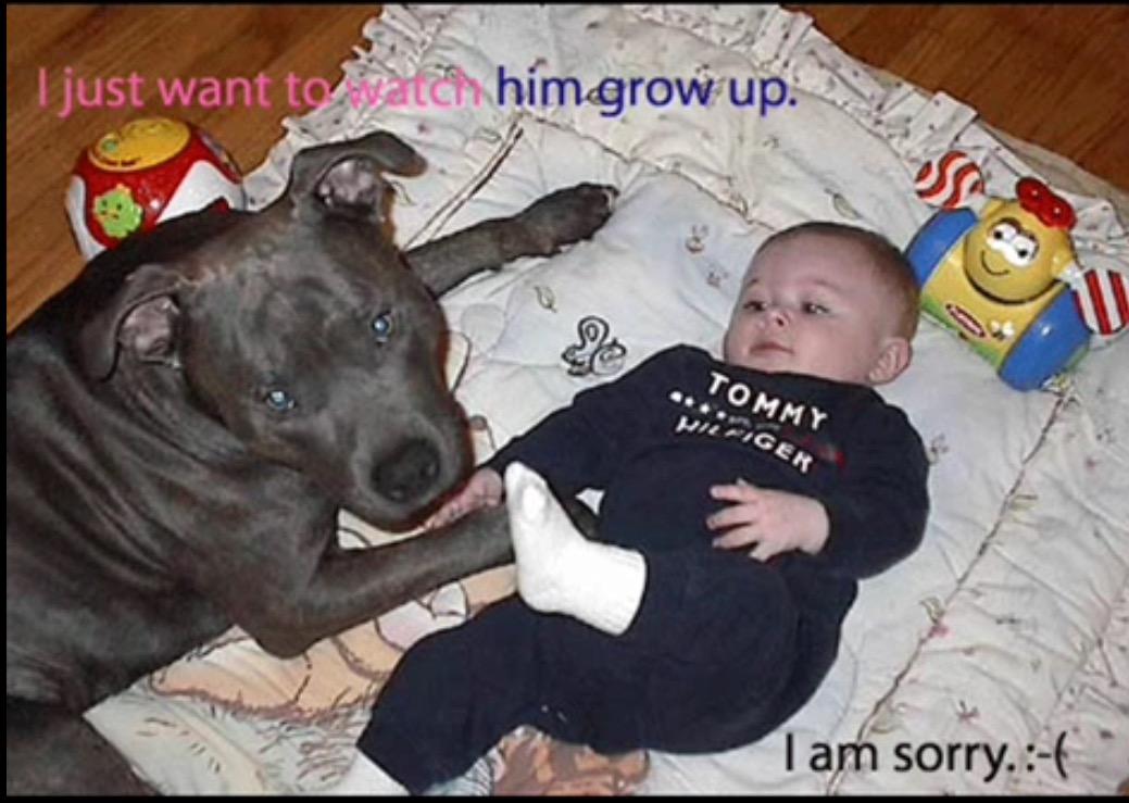 They should be banned forever >:( They should be banned forever >:(