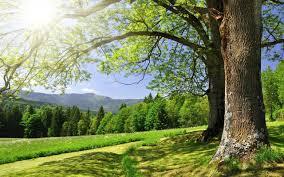 Nature Smart (Outdoorsy) Nature Smart (Outdoorsy)