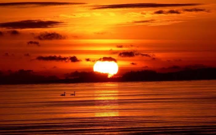 Orange Orange