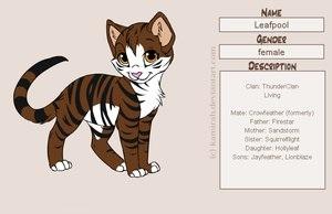 Leafpool Leafpool