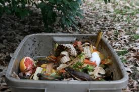 Eat some food from the trash Eat some food from the trash