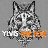 Ylivis the fox