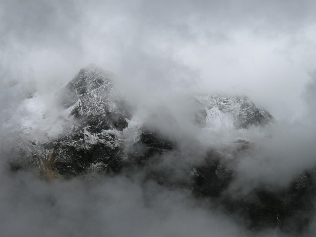 Fog Fog