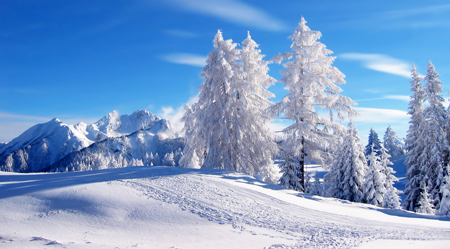 Winter Winter