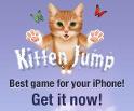 kitten jump