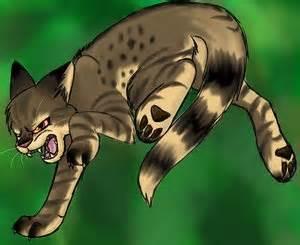 tigerstar