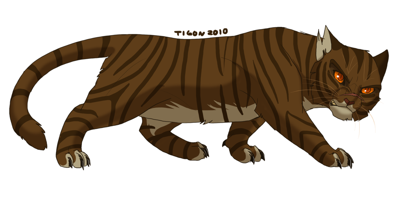 Tigerstar