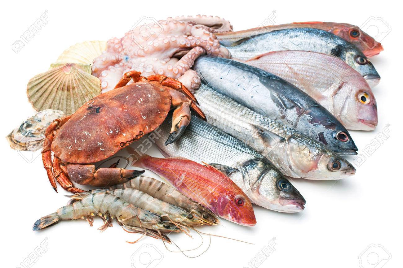 Seafood Seafood