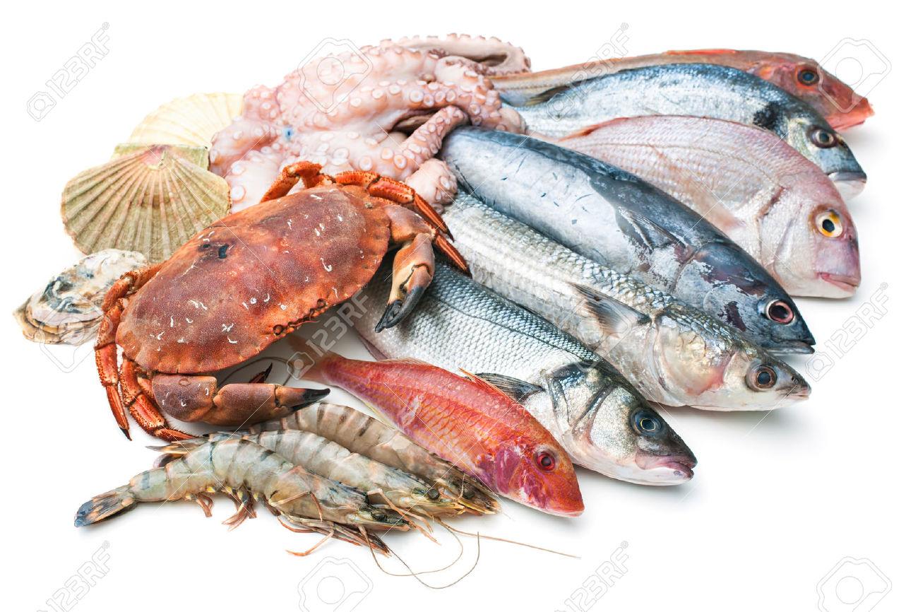 Seafood