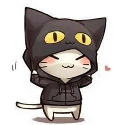 Cat hoodie Cat hoodie