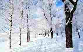 snow snow