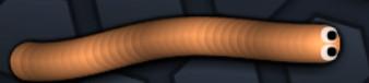 skin 20 skin 20
