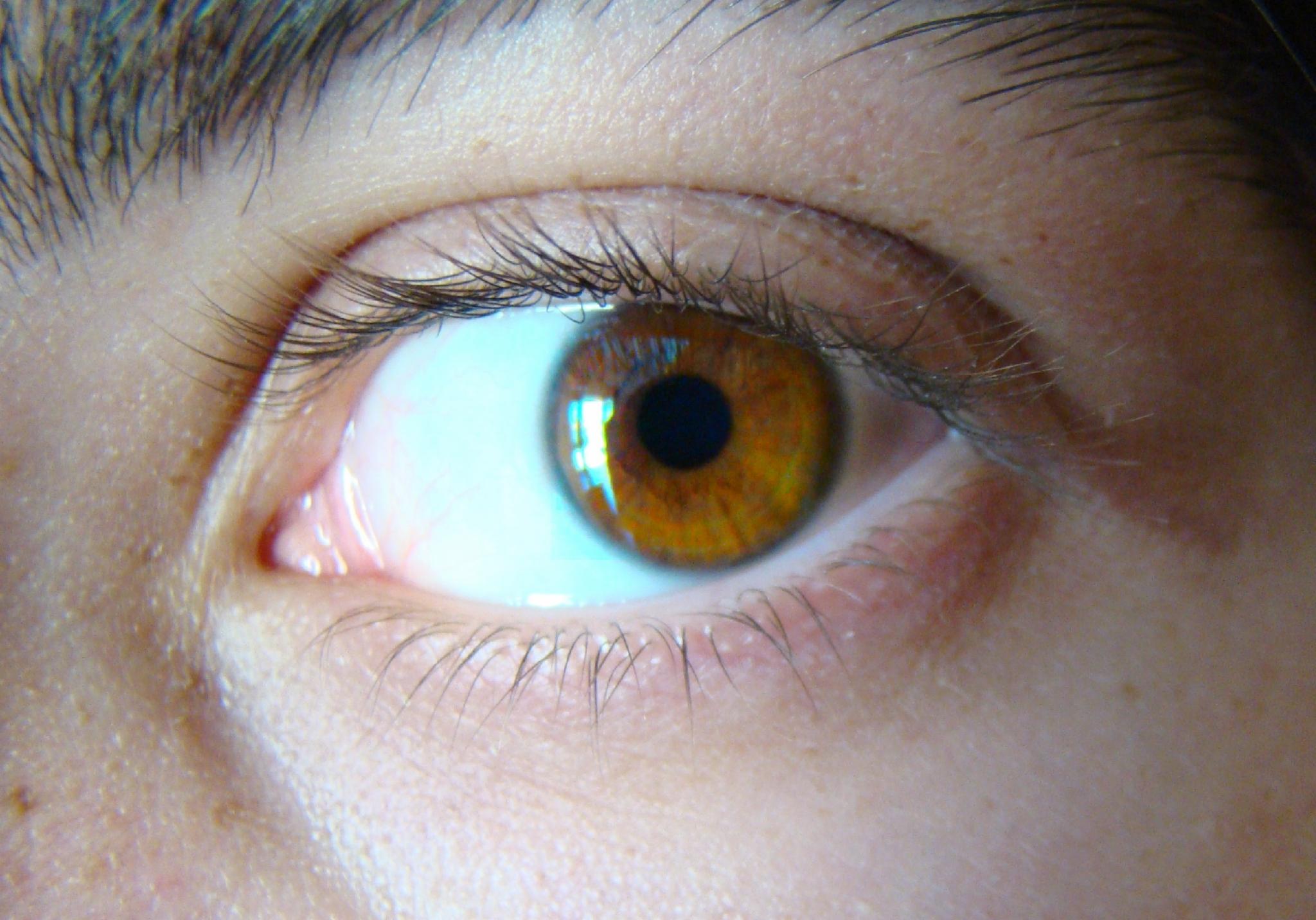Light Brown Light Brown