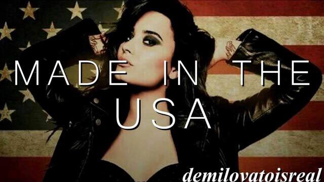 MADE IN THE USA MADE IN THE USA