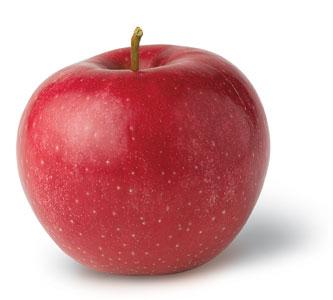 Apple Apple