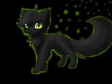 Hollyleaf is best in cat form