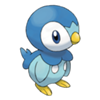 Piplup (Sinnoh) Piplup (Sinnoh)