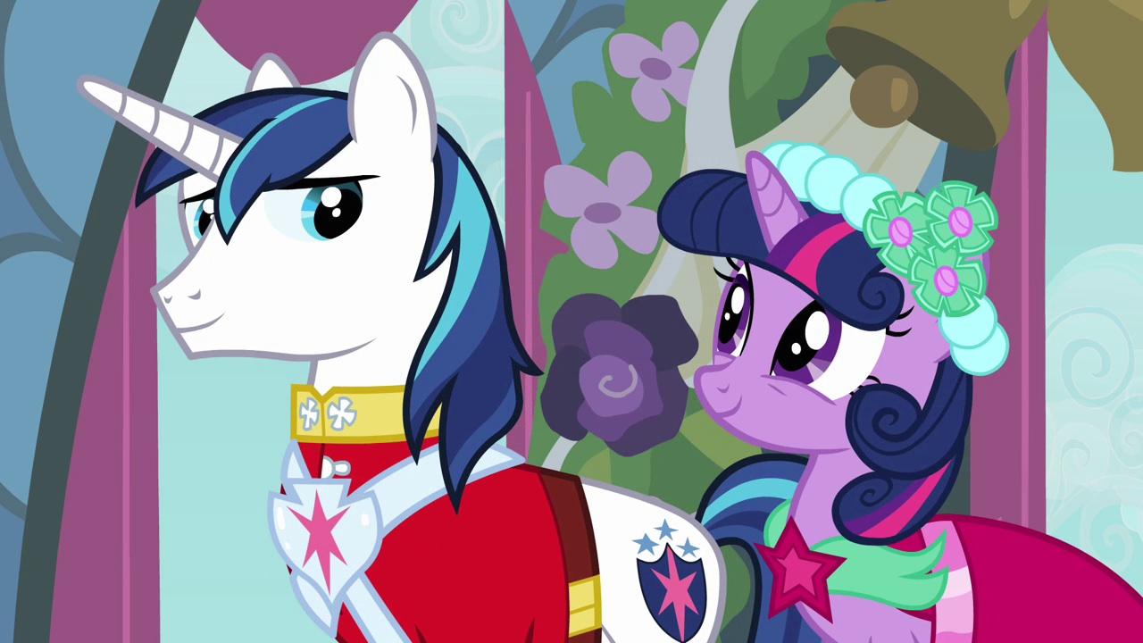 Twilight and Shining Armor Twilight and Shining Armor