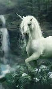 queenofunicorns queenofunicorns