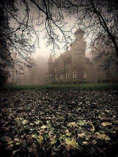 'The Cursed School' 'The Cursed School'
