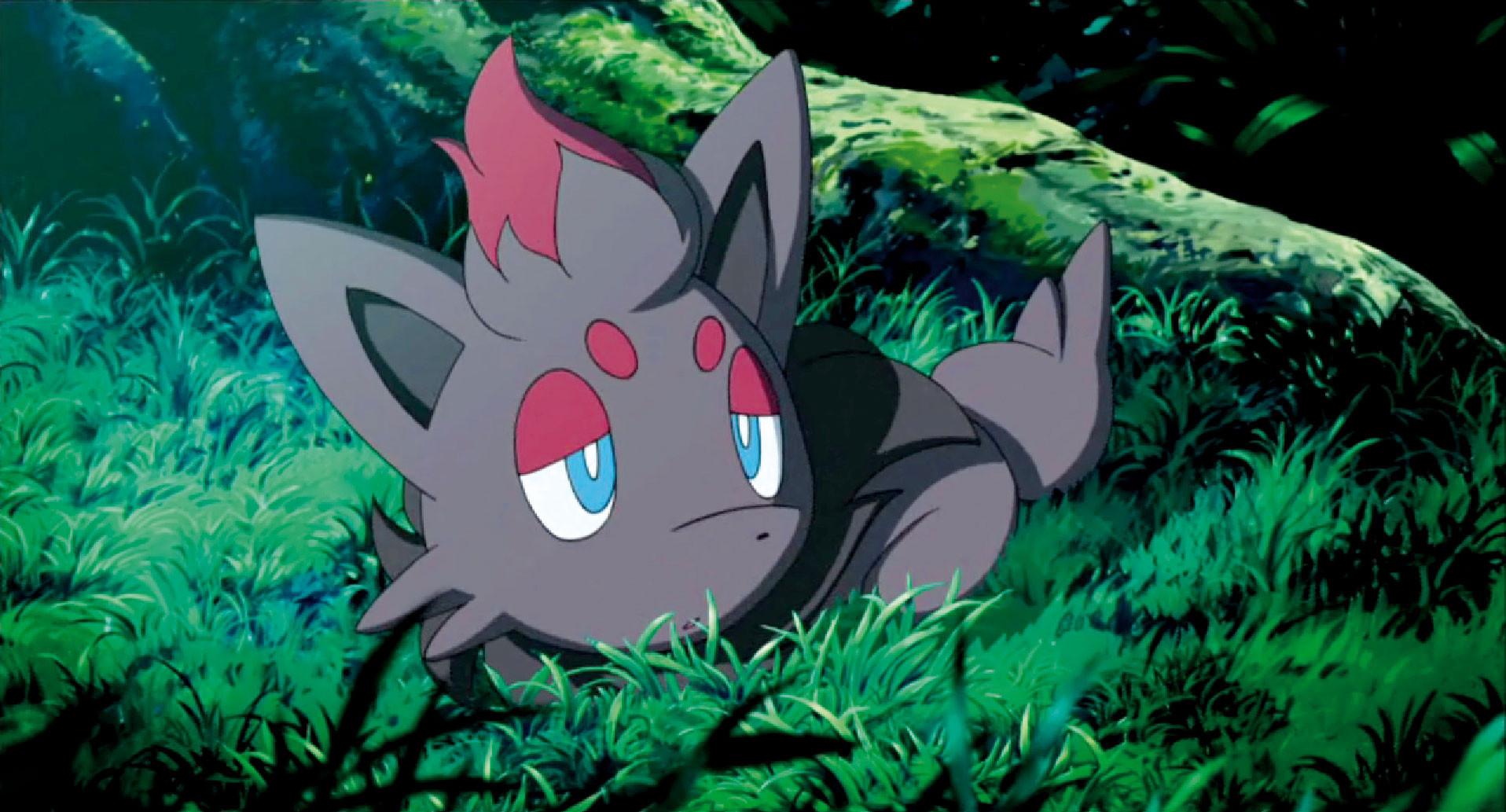 Zorua alone Zorua alone