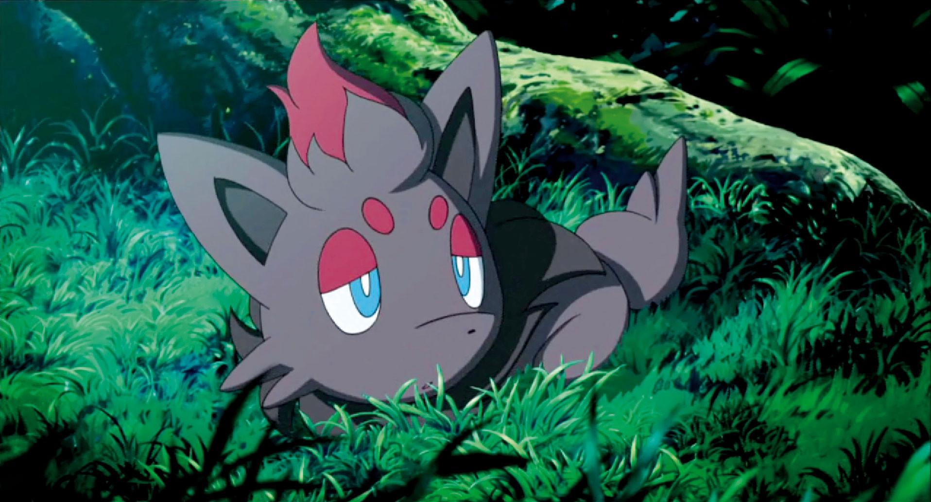 Zorua alone